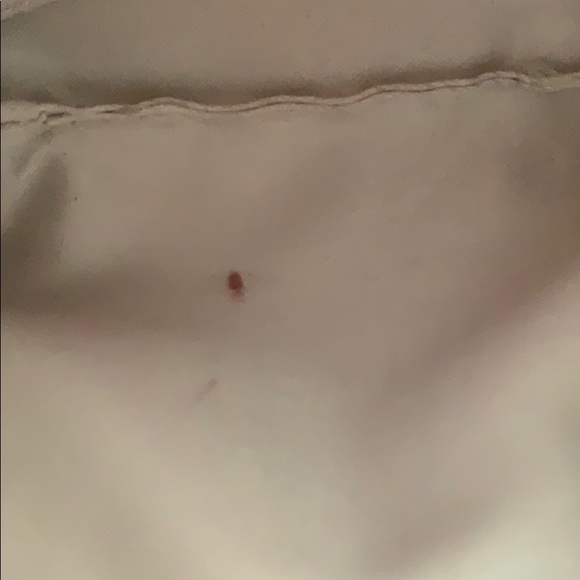 Coach Embossed Red Leather Wristlet - Picture 5 of 10